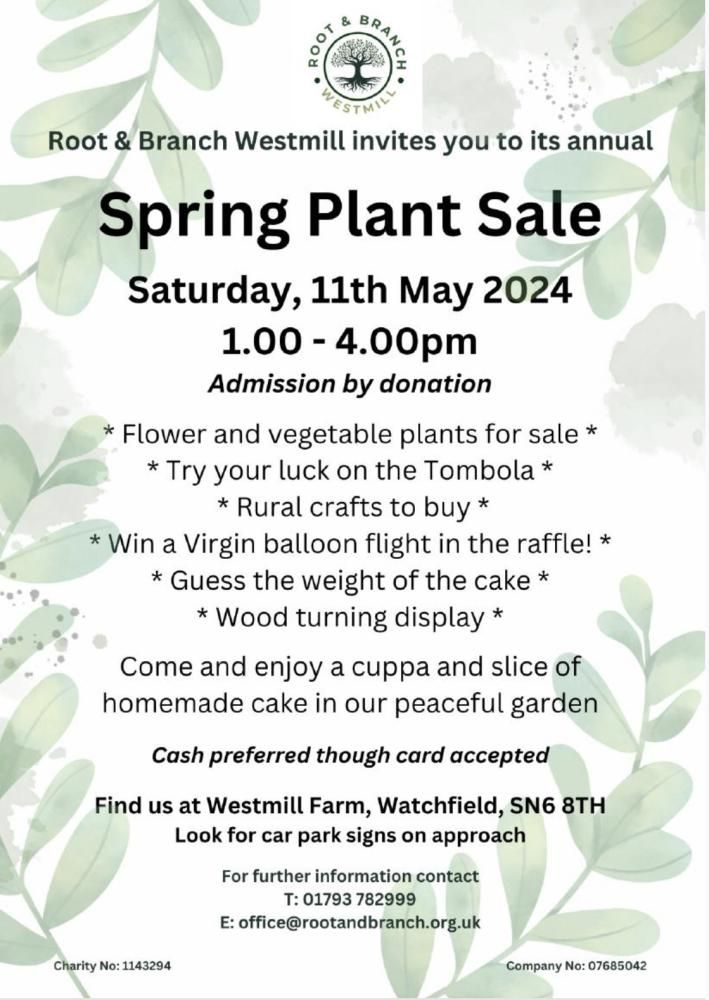 Local charity celebrate spring arrival with plant sale