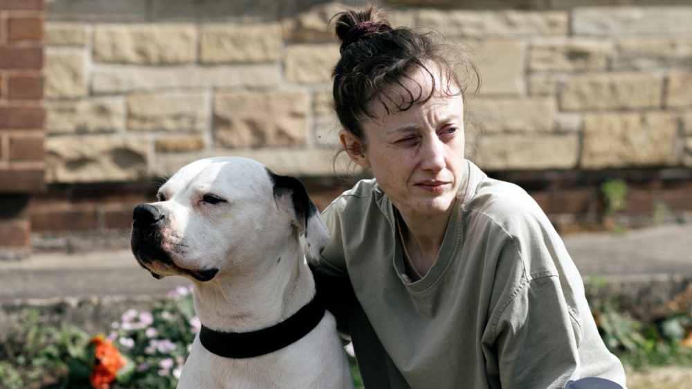 A still from Dragonfly
