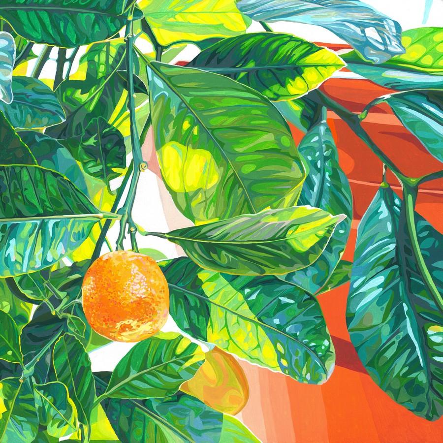 Kat Morgan - Orange Tree in a Terracotta Pot