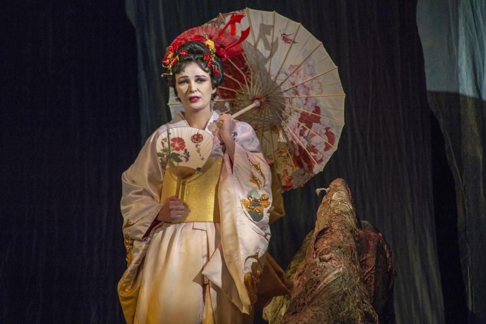 Ukrainian National Opera to perform at Wyvern Theatre