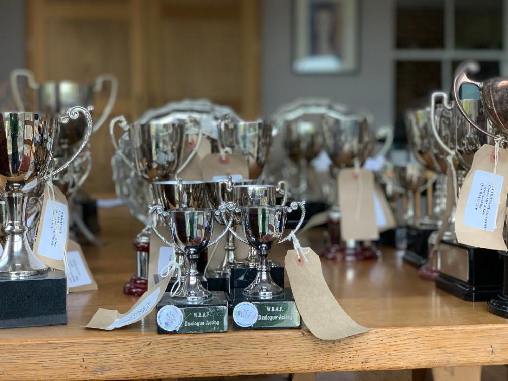 Royal Wootton Bassett arts festival given green light