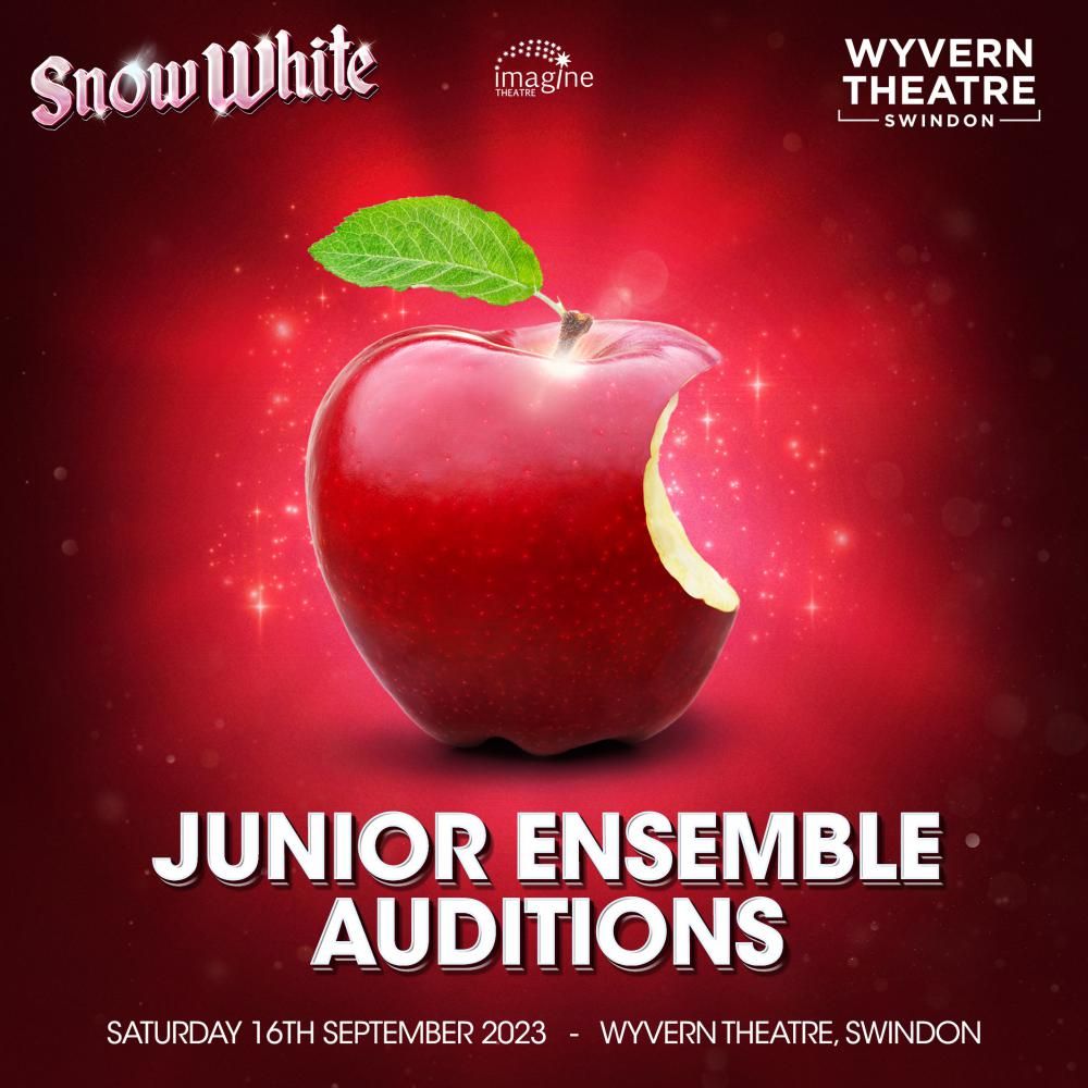 Wyvern to host open auditions for young dancers to appear in panto