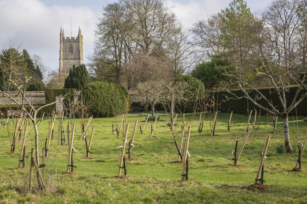 Avebury Manor orchard planting – Photo by National Trust James Dobson