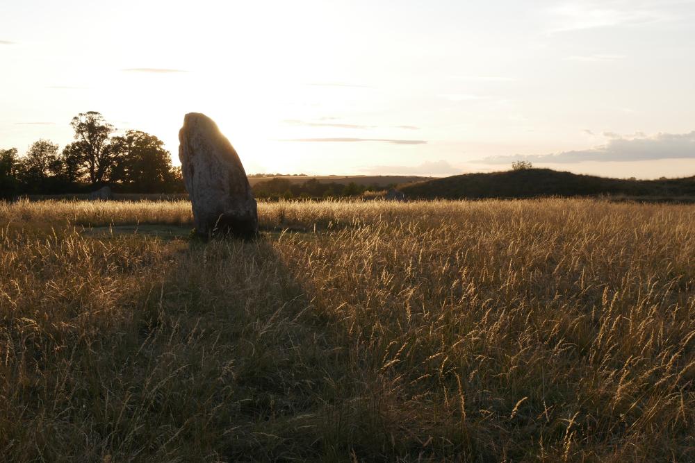 Evening light in the henge at Avebury (Picture: National Trust/Emma Weston)