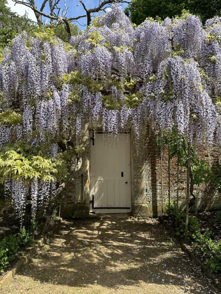 Expert tips on how to save water in the garden