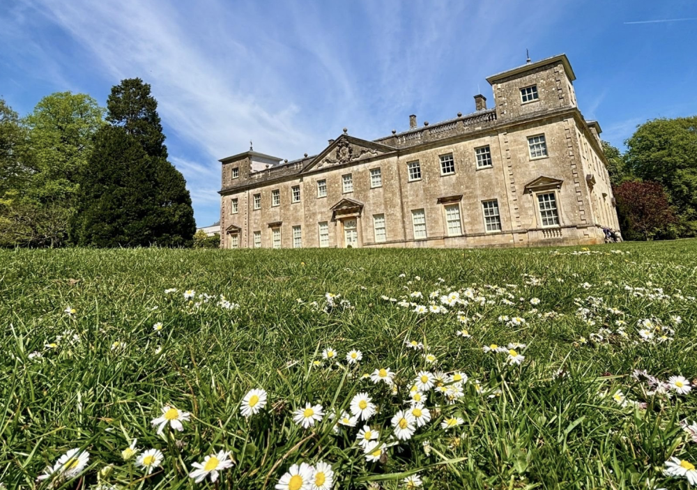 Lydiard Park to host theatre, murder...and dogs