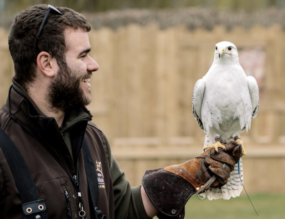 Lydiard Park gears up for packed summer