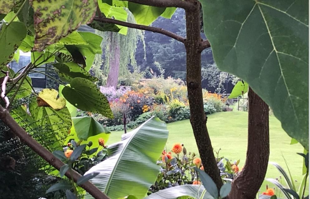 New Wiltshire open gardens for July