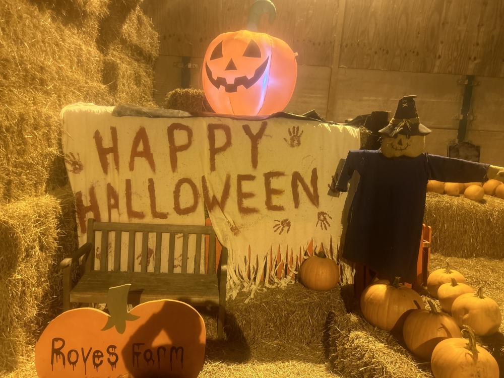 Stay safe this Halloween