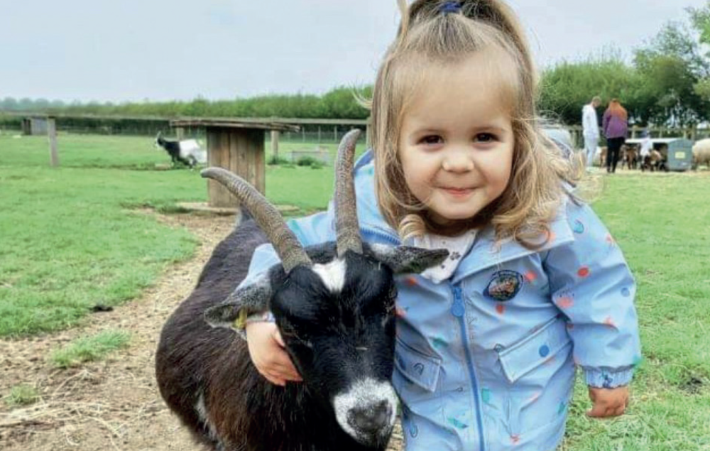 Animals, tractors and fun for all at Roves Farm