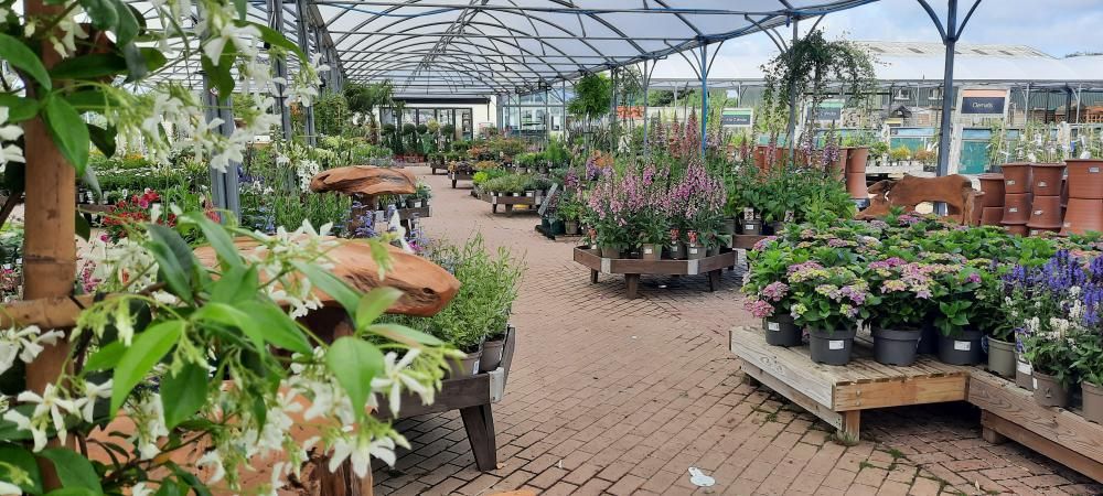 Studley Grange - more than just a garden centre