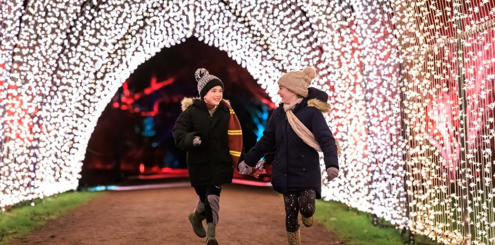 Another magical Christmas light trail at Westonbirt