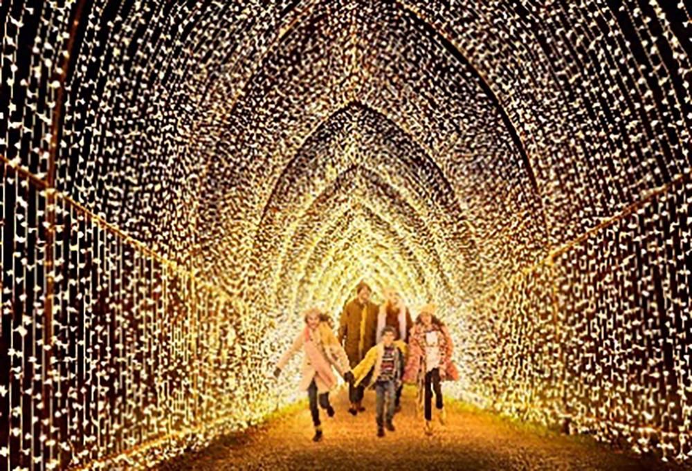 First tickets go on sale for brand new festive trail at Westonbirt Arboretum