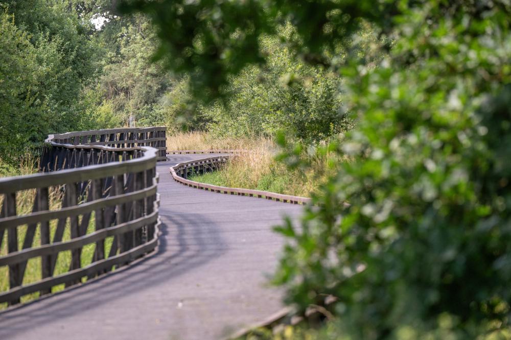 Boardwalk launch brings Wichelstowe community closer to nature