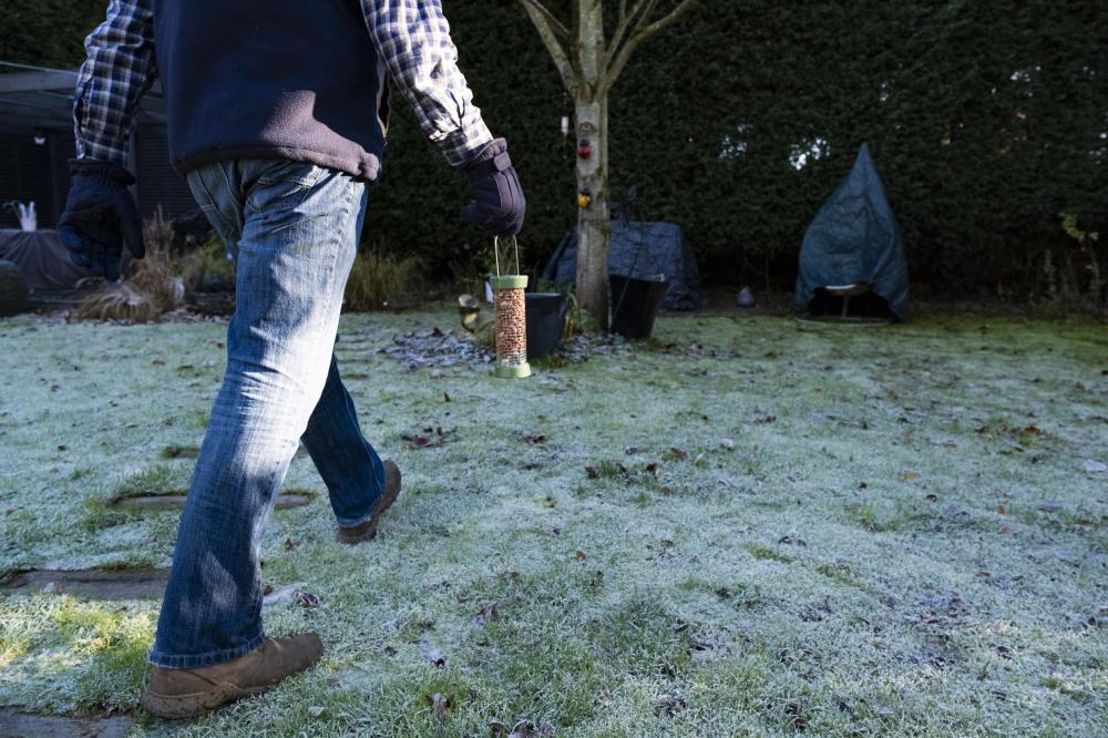 People are advised to find safe places for hanging bird feeders offering calorie-rich seed mixes