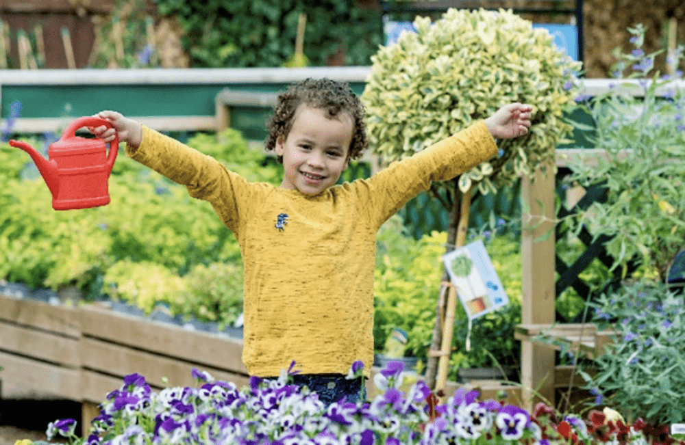 Swindon garden centre's advice on summer growing