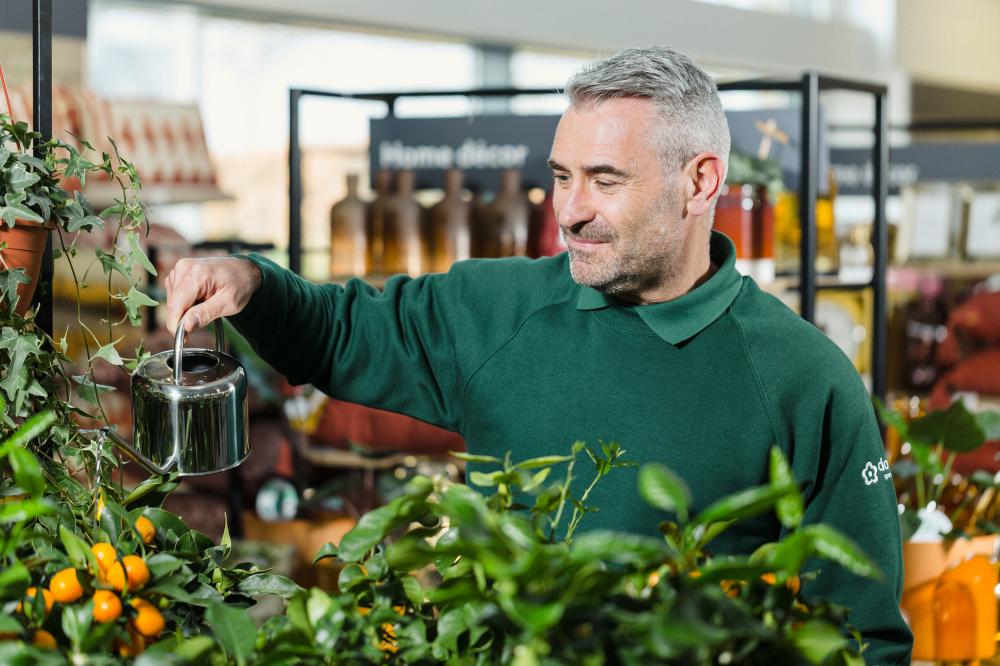 Swindonians invited to start the New Year positively with free garden centre workshop