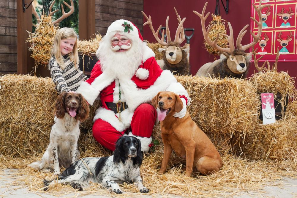 Santa events for the whole family, including dogs