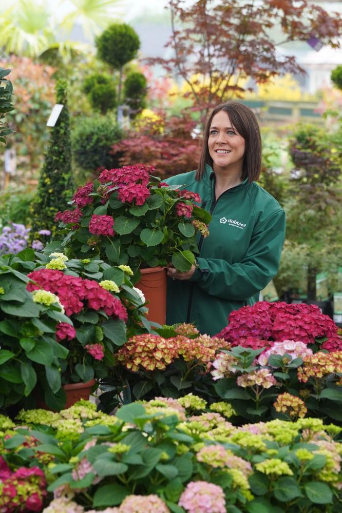 Swindon garden centre's free summer plant care workshops