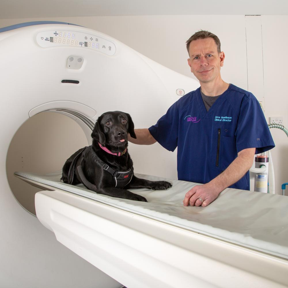 Drove Vets join dog friendly scheme