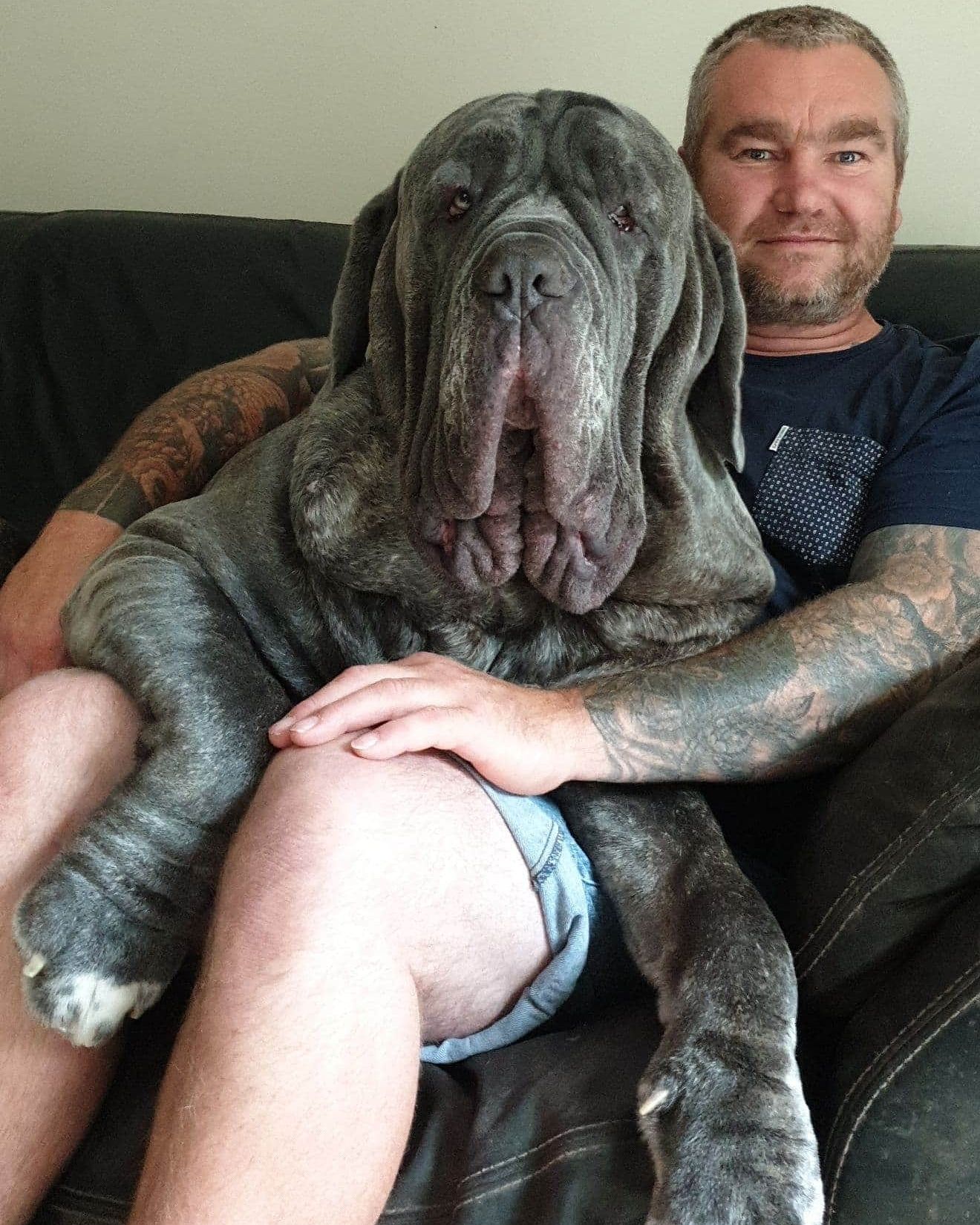 Neo is recovering at home with relieved owner Mark Hutchins