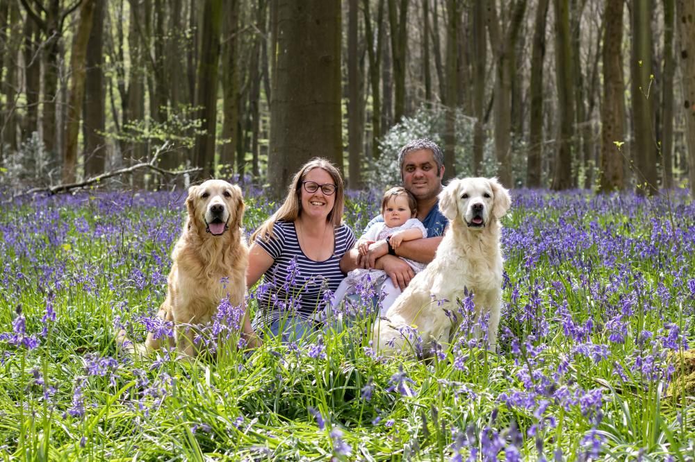 Relieved owner Ceri Roberts with husband Ross, daughter Seren, a fully recovered Riley and their other retriever, Eira.