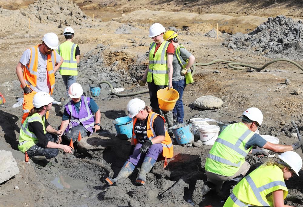 Palaeontologists excavating a mammoth tusk found at the Hills Quarry site near Swindon