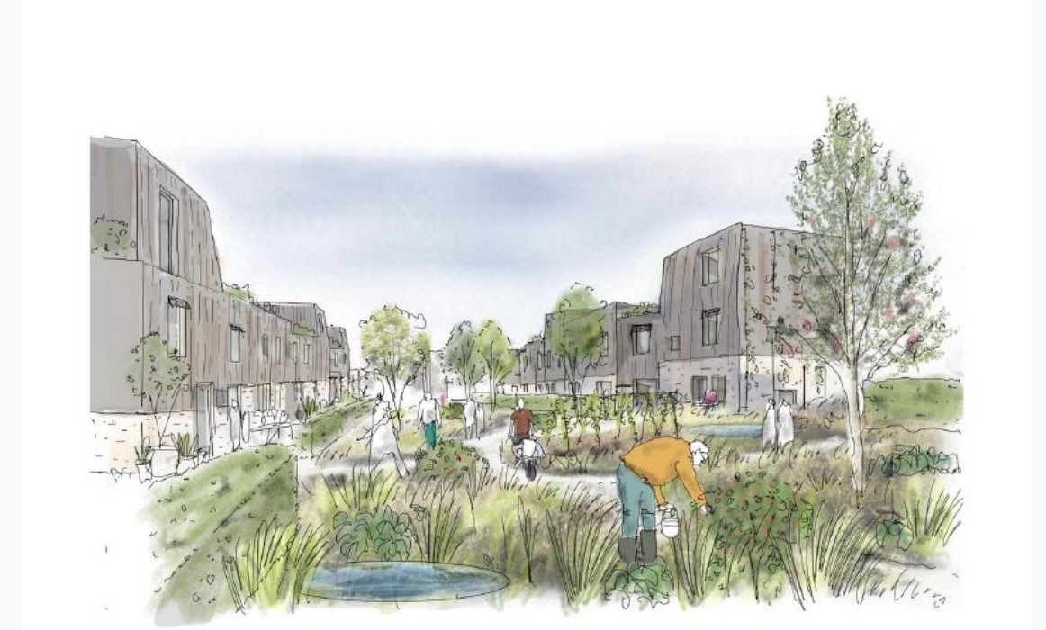 New green homes planned for Tadpole