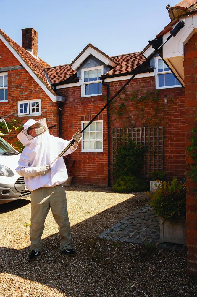 Business Profile - Pest Wizards