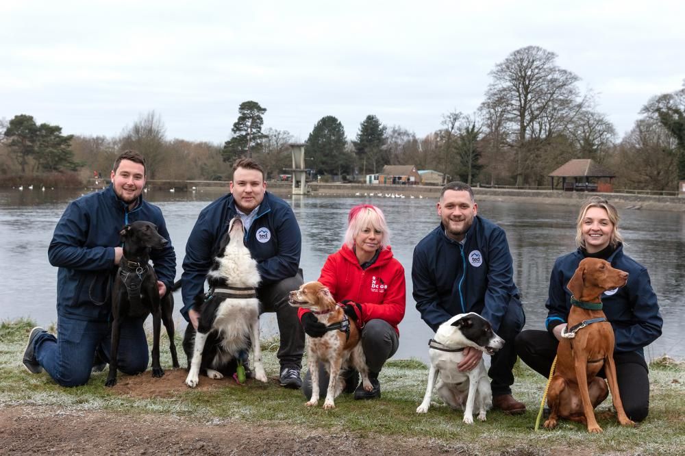 A charity partnership has been formed between TED Mortgages and SNDogs
