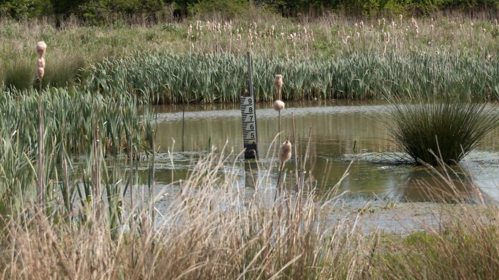 Thames Water announces hosepipe ban across Swindon
