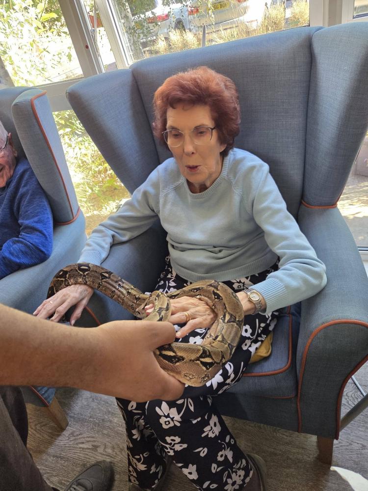 Snakes alive! - unusual visitors at Wroughton care home