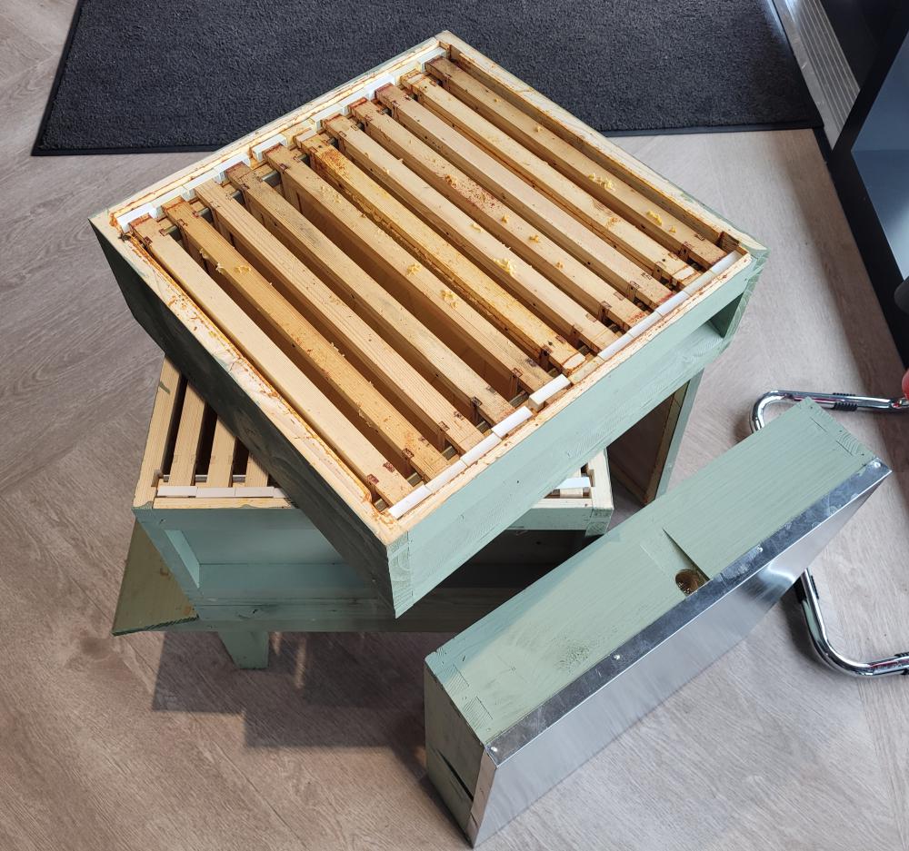 Some of the hives