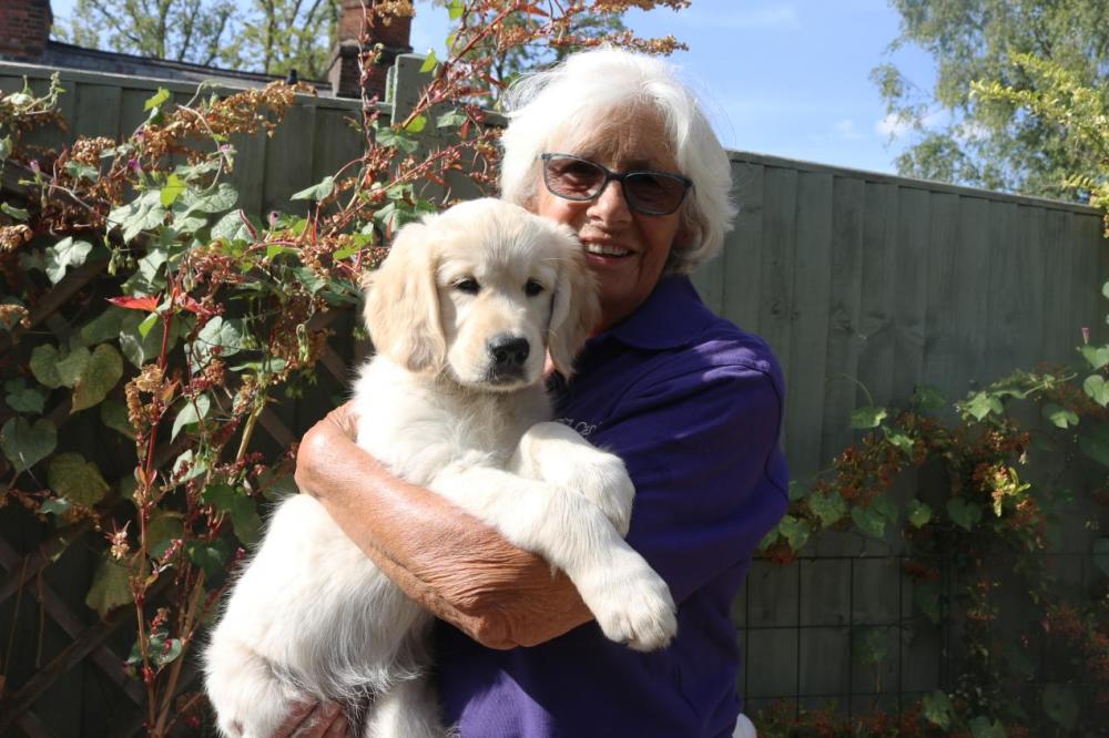Call for Swindon volunteers to help look after trainee assistance dogs
