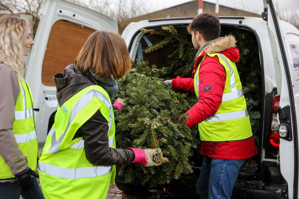 Team effort for Julia's House Christmas tree collection (photo credit Simon Ward)