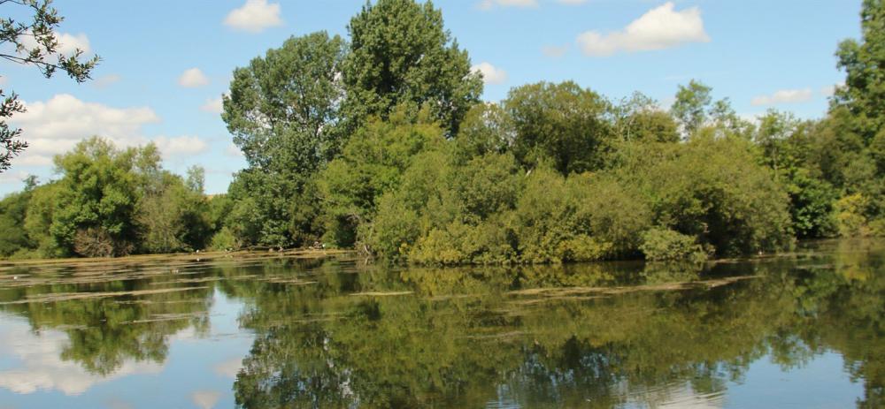 Wiltshire Wildlife Trust locations include Langford Lakes, between Salisbury and Warminster 