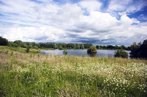 £100,000 funding to enhance flagship Wiltshire nature reserve    