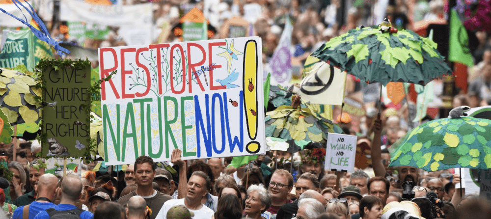 Historic march for nature joined by Wiltshire Wildlife Trust
