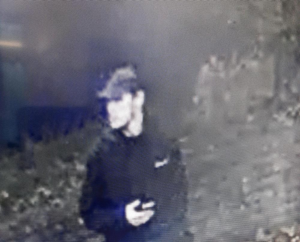 CCTV image provided by Swindon Police