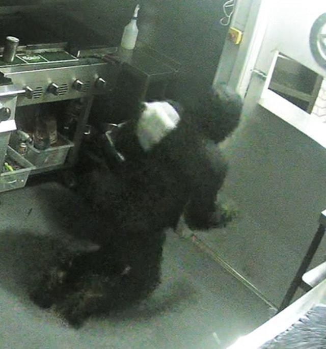 Witness appeal following burglary on Cricklade Road