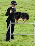 Wiltshire Police dog brings home trophy