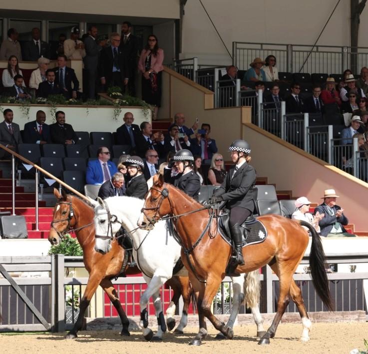 Wiltshire Police horses compete at Royal Windsor show