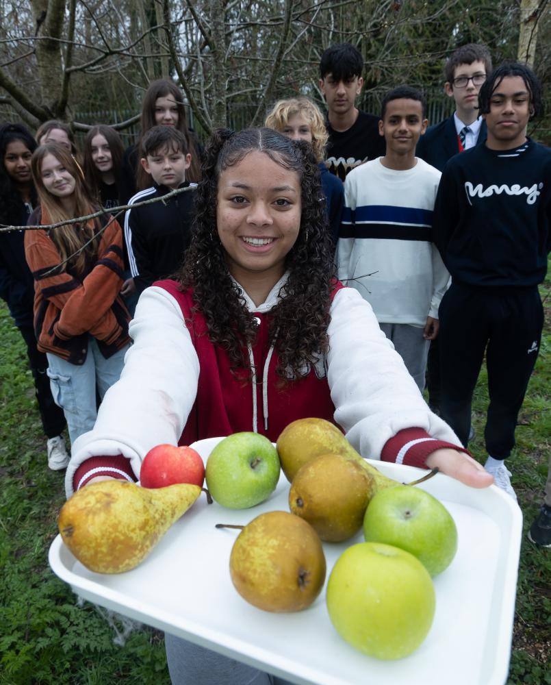 Lawn Manor Academy grows new learning opportunities with a school orchard