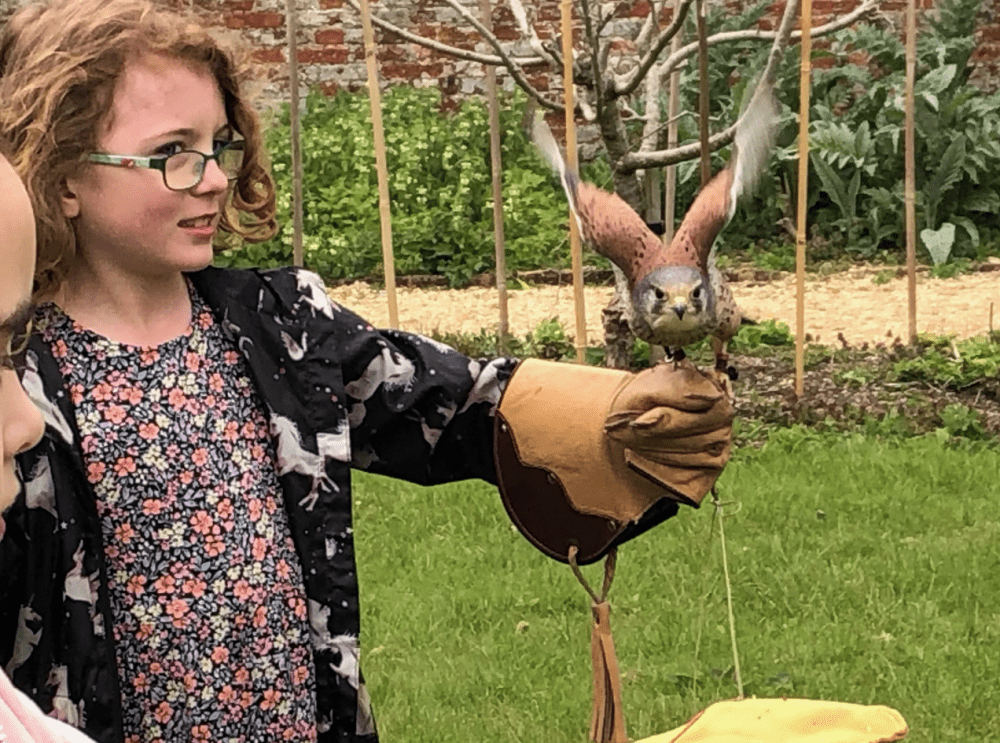 Pupils from Shaw Ridge Primary School were among a number of schools who took part in the ‘Take to the Skies’ project at Lydiard Park’s Walled Garden on Saturday where they got to hold birds of prey from The Falconry School under the direction of Head Falconer John Dowding