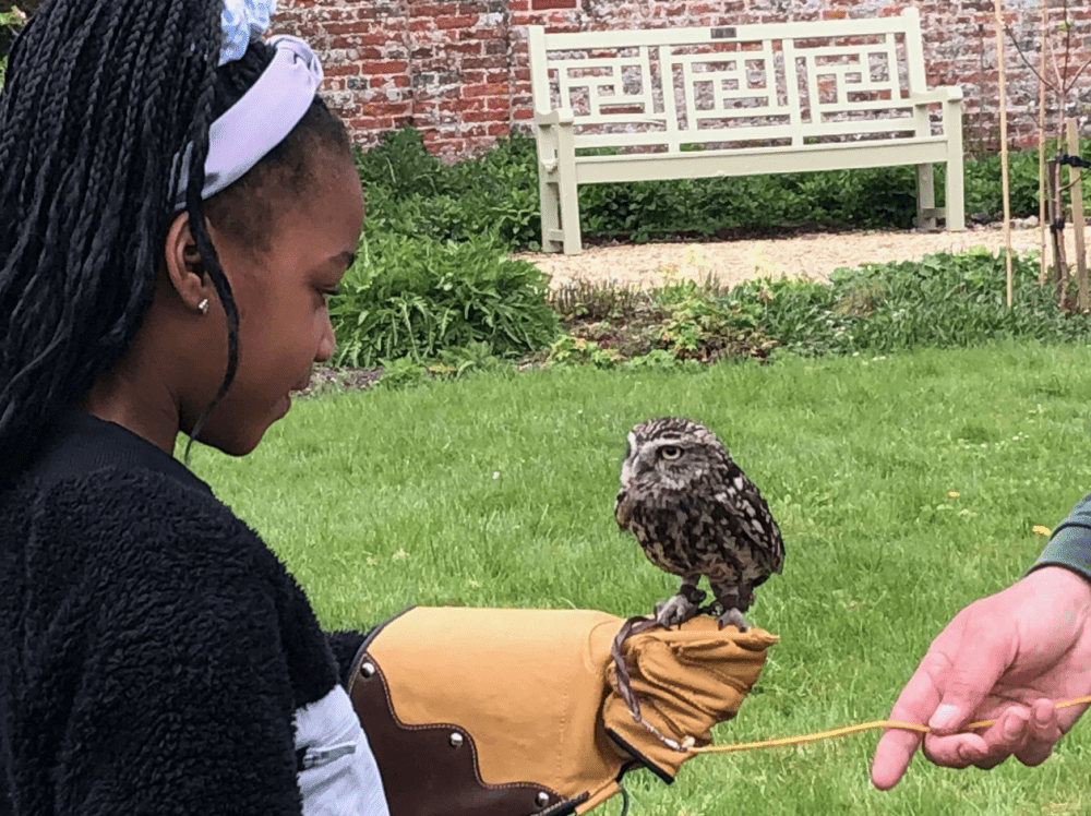 Pupils from Shaw Ridge Primary School were among a number of schools who took part in the ‘Take to the Skies’ project at Lydiard Park’s Walled Garden on Saturday where they got to hold birds of prey from The Falconry School under the direction of Head Falconer John Dowding