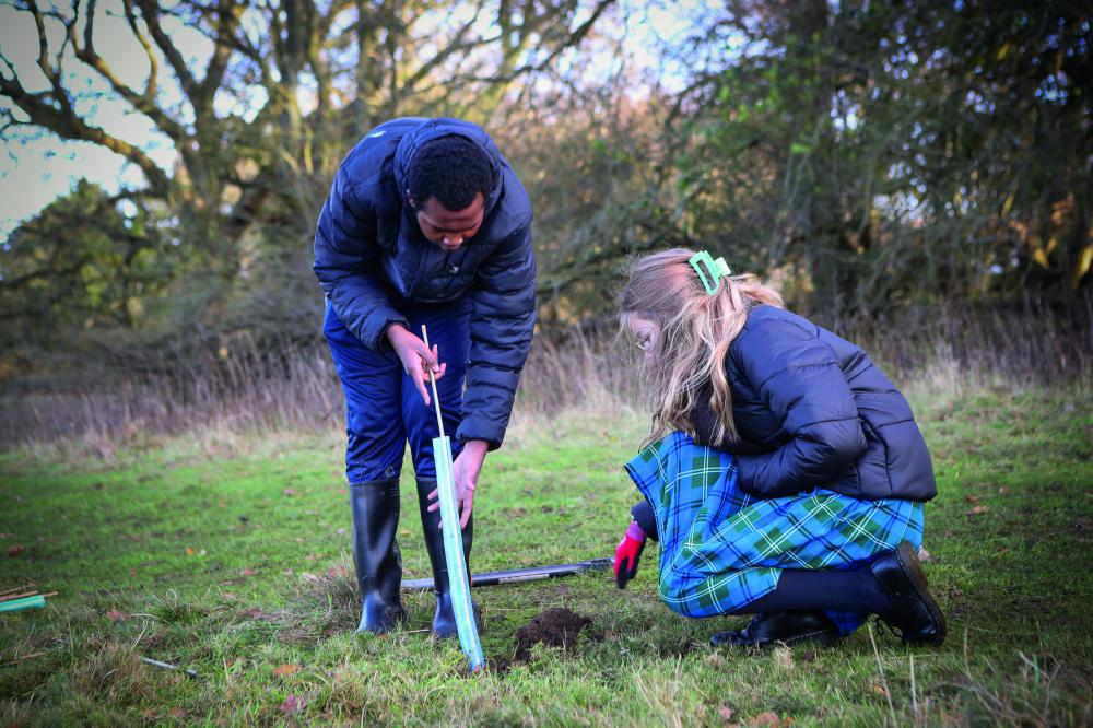 Swindon Sixth Form Students join forces planting trees for the Queen’s Green Canopy