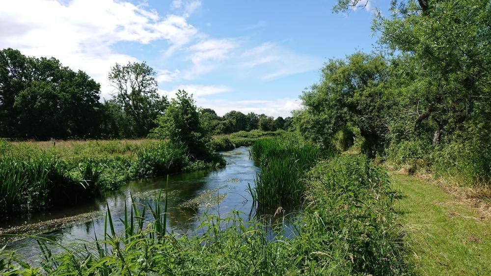 Wiltshire Wildlife Trust urges public to consider the environment when voting 