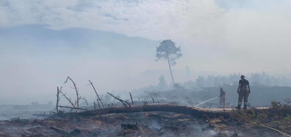 Wildfire warning for Wiltshire