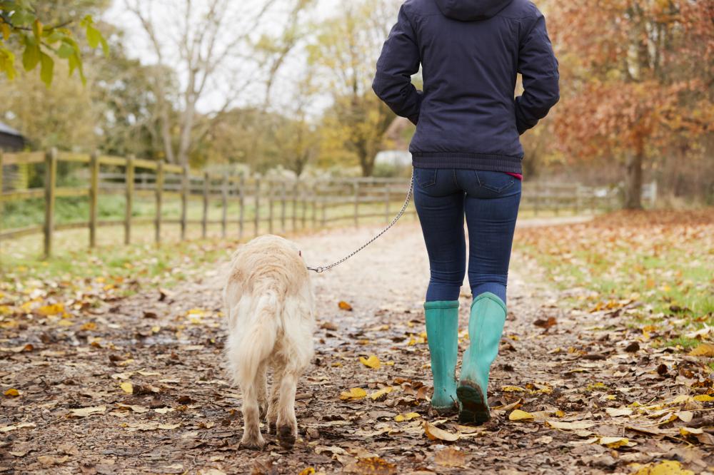 Swindon-based animal charity celebrates share of £1m fund