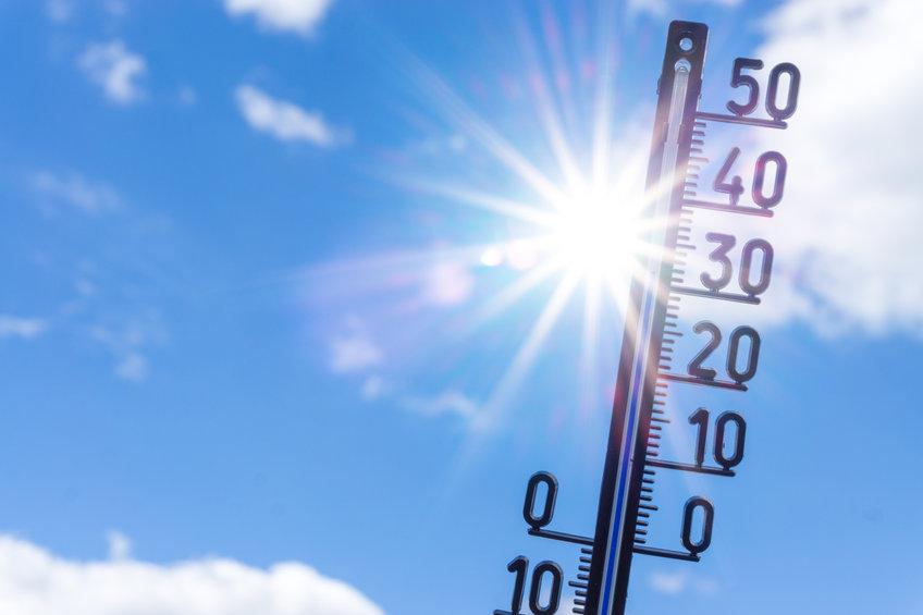 Green Party calls for climate action amid heatwave